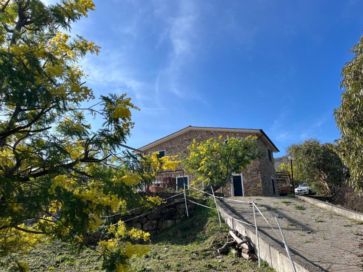 Agriturismo Le Mimose Imperia Exterior foto